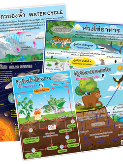 Environmental science Posters A4 size