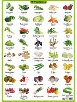 โปสเตอร์ความรู้ ชุดคำศัพท์ ผัก 40 ชนิด No.593