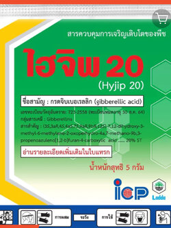 GIBBERELLIC ACID (GA3) 20% ไฮจิพ 20 Hyjip 20 จิบเบอเรลลิน 20% แบบเม็ดสำหรับละลายน้ำฉีดพ่น เพื่อ ยืดช่อ ยืดเซลล์ เม็ด 5 กรัม