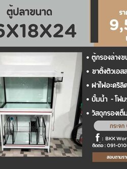 TP Service บริการรับติดตั้งตู้ปลา รับทำบ่ปลาคราฟ ตู้ปลาขนาด 36x18x24