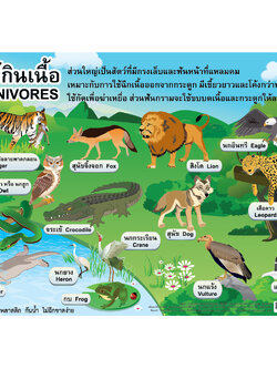 Carnivorous Animals Educational Posters No.323
