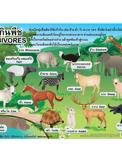 Herbivorous Animals Educational Posters No.324
