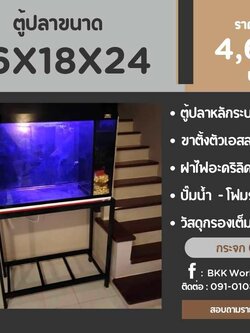 TP Service บริการรับติดตั้งตู้ปลา รับทำบ่ปลาคราฟ ตู้ปลาขนาด 36x18x24