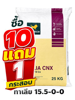 [โปร 10 แถม 1] Ca(NO3)2 Calcium Nitrate ปุ๋ยเกล็ด แคลเซียมไนเตรท ทาเลีย ซีเอ็นเอ็กซ์ Talia CNX 15.5-0-0 +18Ca จีเกรด สำหรับระบบน้ำ (สิงคโปร์) บรรจุ 25 กิโลกรัม