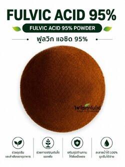 Fulvic acid 95% Powder ผงฟูลวิก คุณภาพสูง ฟูลวิกแอซิด 95% ช่วยการดูดซึมและลำเลียงธาตุอาหาร ปุ๋ย ยาและฮอร์โมนพืช ละลายน้ำได้ 100% บรรจุ 1 กิโลกรัม