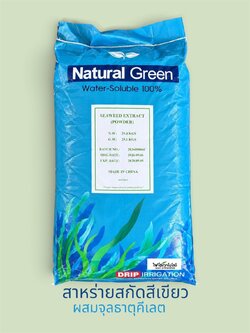 Green Chelate Seaweed Extract สาหร่ายสกัด สีเขียว ผสมธาตุรองเสริมคีเลต ละลายน้ำ 100% สะสมอาหารก่อนออกดอก บำรุงดอก ผสมเกสร ขั้วเหนียว ลดการหลุดร่วง บรรจุ 25 กก.