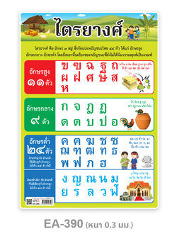 โปสเตอร์ความรู้ ไตรยางศ์ ขนาดA4