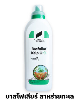 Basfoliar Kelp O สาหร่ายทะเลสกัดเย็น บาสโฟเลียร์ เคลป์ โอ (Compo Expert เยอรมัน) สาหร่ายน้ำใส อุดมด้วยฮอร์โมนและสารออแกนิคธรรมชาติจากสาหร่าย บรรจุ 1000 mlx12 ขวด