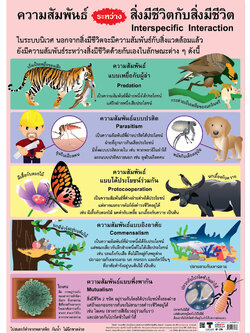 Interspecific Interaction Educational Posters No.278