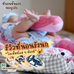 ที่นอนรังนก หรือ babynest จำเป็นต้องซื้อไว้เตรียมคลอดรึเปล่า?