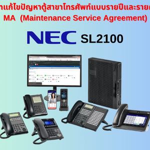 NEC SL2100