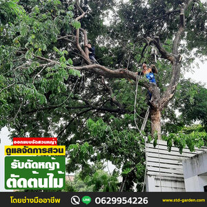 ร้าน48 รับตัดหญ้าตัดต้นไม้