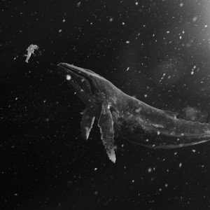 [PRE-ORDER] EXO - Winter Special Album "Sing For You" (Korean Ver.)