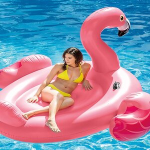 แพยางเป่าลมรูปต่างๆ