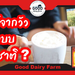 กลับมาดื่มนมโคธรรมชาติกันเถอะ 💯 น้ำนมที่กู๊ดแดรี่ฟาร์ม ผลผลิตจากแม่โคที่เลี้ยงใกล้เคียงธรรมชาติ🌳 🐄 เพื่อให้ได้มาซึ่งน้ำนมคุณภาพ🍼 ที่ปราศจากสารความเครียด 😁 และไม่มีสารเคมีตกค้าง🚫