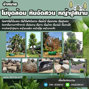 หินกาบ โทร 096-8588145 หินธรรมชาติจัดตกแต่งสวน หินกาบ หินทราย หินเกล็ด หินแกรนิต