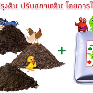 ปุ๋ยขี้ไก่ 080-3296882 จำหน่ายปุ๋ยคอก ขี้วัวนม ปุ๋ยขี้หมู ขี้ไก่ล้วน ขี้ไก่แกลบ มูลวัว จัดส่งทั่วประเทศ
