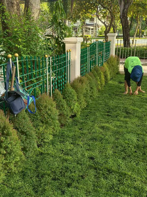 วิธีเลือกจ้างจัดสวนโรงงาน จัดสวนในหมู่บ้าน เลือกแบบไหนถึงจะคุ้มกับเงินที่ต้องจ่าย โทร 082-8979135