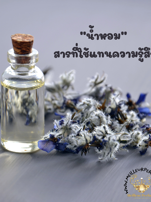 "น้ำหอม" สารที่ใช้แทนความรู้สึก
