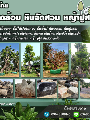 แหล่งหินทรายแดง โทร 096-8588145 หินธรรมชาติจัดตกแต่งสวน หินกาบ หินทราย หินเกล็ด หินแกรนิต