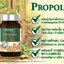 Propolis Brasil PROPOLIS BRASILIAN 30S CRJ โพรโพลิส บราซิลชนิดเม็ด 30เม็ด ป้องกันและเสริมภูมิคุ้มกัน