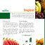 Tropicel ผงจุลธาตุ อะมิโนคีเลต ธาตุอาหารเสริม สังกะสี โบรอน โมลิบดีนั่ม ทรอปิเซล (Cosmocel) บรรจุ 1 กิโลกรัม