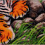 tiger-1011 *พร้อมส่ง* ชุดปักครอสติช ลายเสือมงคล (ปักเต็มผืนผ้า ปักครั้งละ 3 เส้นเล็ก) ขนาด 88*48 ซม.ผ้าครอสติช 11CTพิมพ์ลายปักเต็มลายผ้า ไหมคอตตอน 49 สี ผังลาย เข็ม