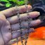 สร้อยคอ ลายเฟลอเดอร์ลีส์ เงินแท้ Sterling Silver 925 NSNL2908