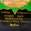 ผ้ายันต์พญาเต่าเรือน ผ้ามันอย่างดีสวยมาก ค้าขาย กำไรดี ปลดหนี้ หลวงปู่หลิว วัดไร่แตงทอง จ.นครปฐม ปี 2561 ขนาดใหญ่ 19 x 27 นิ้ว แท้จากวัด (สีดำ)