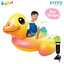 Intex ส่งฟรี แพเป็ดน้อย 1.47x1.47x0.81 ม. รุ่น 57556 + ที่สูบลมดับเบิ้ล ควิ๊ก วัน