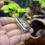 เลี่ยมกรอบเงินแท้แบบขอบไข่ปลารอบกรอบSterling Silver 925 NSSV3347