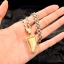 กรอบพร้อมหูกระต่าย ทองคำ 18K Gold ทรงเรียบ NSGD1610