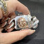 ข้อมือเหรดเงินประดับเหรียญพระด้านหน้า Sterling silver 925 NSSV2997