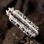 กรอบพระสไตล์หลุยส์ พร้อมพระ องค์สีขาว พิมพ์สมเด็จวัดปากน้ำ แท้ Sterling Silver925 NSSV948