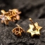 ต่างหูทองคำแท้ ฝังเพชรตรงกลาง Star of David earrings in 18k with Diamond. NSER1062