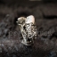 แหวนเงินแท้ ทรงปลาคาร์ฟคู่ ฝังตาเพชร Sterling Silver 925 NSRG1819