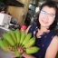หน่อกล้วยน้ำหว้าทะลิอ่องยักษ์โบราณ 4 หน่อ ส่งฟรีทั่วไทย