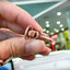 นกหวีด ทองชมพูแท้ 9K Pink Gold NSPG2638