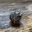 แหวนหัวสิงโต เงินแท้ Sterling Silver 925 NSRG2262