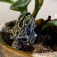 แหวนเงินแท้ หัวกะโหลกเพลิง Sterling Silver 925 NSRG2462