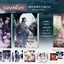 ชุดหนังสือรัตติกาลจันทร์ฉาย (3 เล่ม)