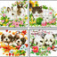 animal-1019 *สินค้าหมด* ชุดปักครอสติช ลายเซต 4 ชิ้น กระต่ายคู่ แมวคู่ น้องหมาคู่ แพนด้าคู่ ขนาดภาพละ 40*40 ซม.ผ้าครอสติช 11CTพิมพ์ลายปักบนผ้า ไหมคอตตอน 103 สี ผังลาย เข็ม