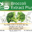 บร็อคโคลี่ สารสกัดจากบร็อคโคลี่ Broccoli Extract Plus ตรา บลูเบิร์ด ขนาด 600 มิลลิกรัม 60 แคปซูล