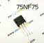 T138:75NF75