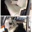งานฟื้นฟู Rolls Royce