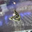 แหวนพญานาคเนื้อเงินแท้ตาฝังพลอยสวาไลท์สีเขียวสว่าง Sterling Silver 925 NSRG2602