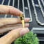 เลี่ยมจับห่วง ทอง 18K งาช้างแกะทรงเขี้ยว Gold