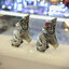 แหวนเงินแท้พญานาคคาบแก้ว ฝังทับทิมแท้ Sterling Silver 925 NSRG2605