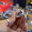 แหวนดาว Star of David ฝังหน้ากาก เสือ หลวงพ่อเพี้ยน วัดเกริ่นกฐิน จ.ลพบุรี Sterling Silver 925 NSRG2712