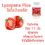 ไลโคปีน พลัส Lycopene Plus ตรา บลูเบิร์ด ขนาด 600 มิลลิกรัม 60 แคปซูล